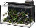 10 Gallon Glass Aquarium Kit, Rimless Fish Tank with LED & Filter, Black