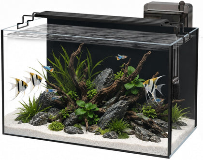 10 Gallon Glass Aquarium Kit, Rimless Fish Tank with LED & Filter, Black
