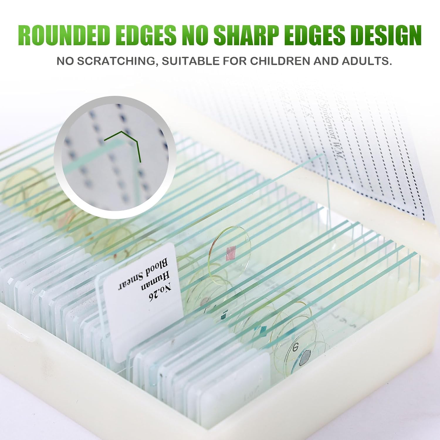 120 Microscope Slides with Specimens, Plant, Insect, Animal, Algae Slide Set for Biological Science Laboratory Basic