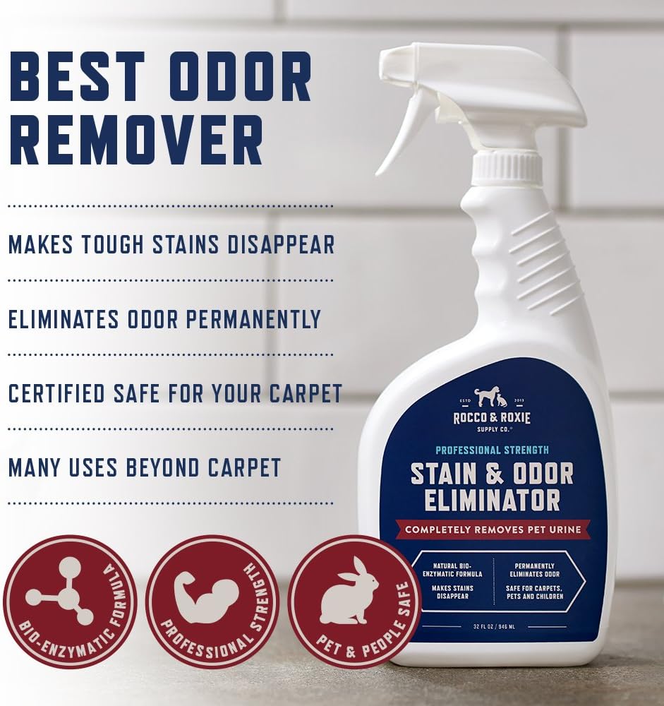 Stain & Strong Odor Eliminator, Enzyme Cleaner, Pet Odor Eliminator for Home - Carpet Stain Remover for Cats & Dog