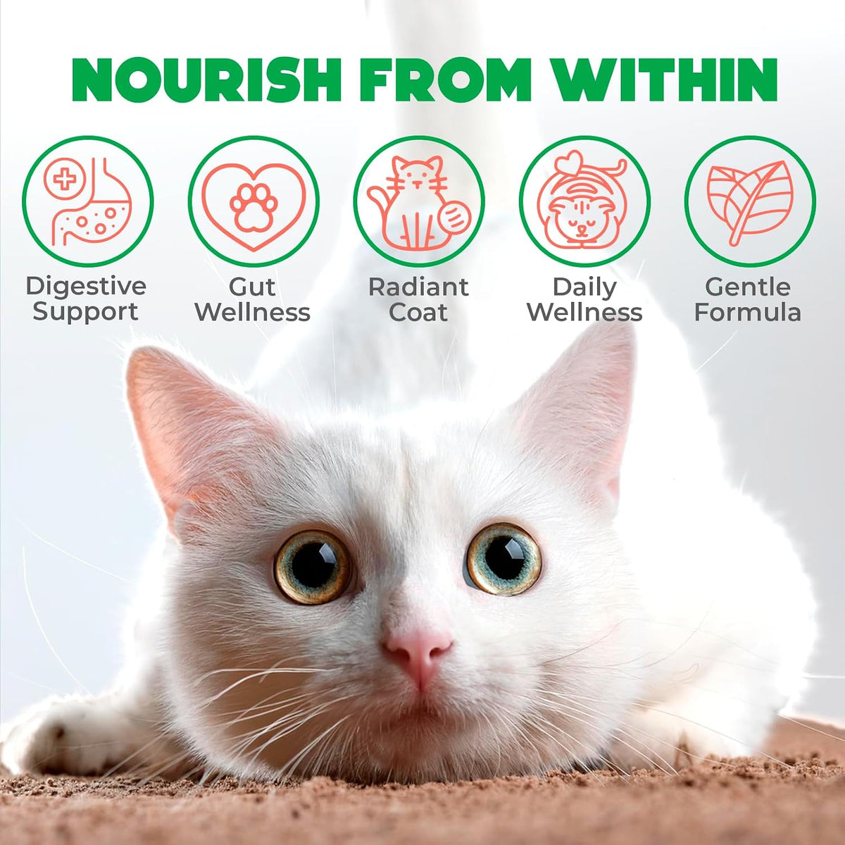 Probiotic Chews for Cats 500 Count, Crunchy, Creamy, Gut Health, Salmon