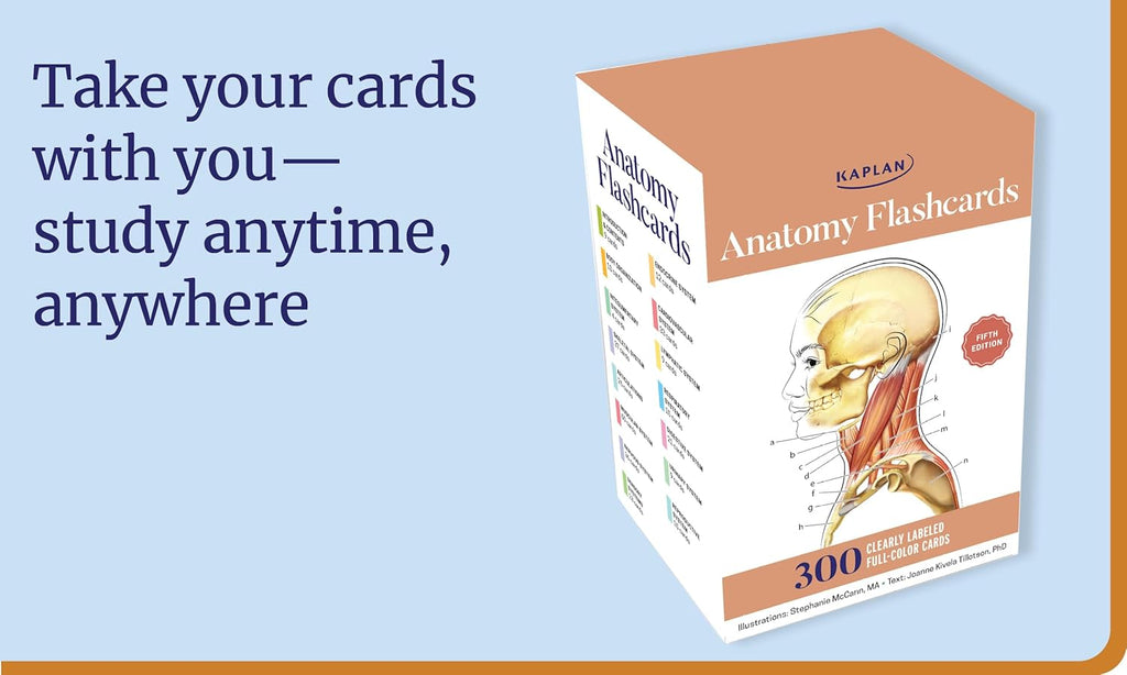 Anatomy Flashcards: 300 Flashcards with Anatomically Precise Drawings and Exhaustive Descriptions