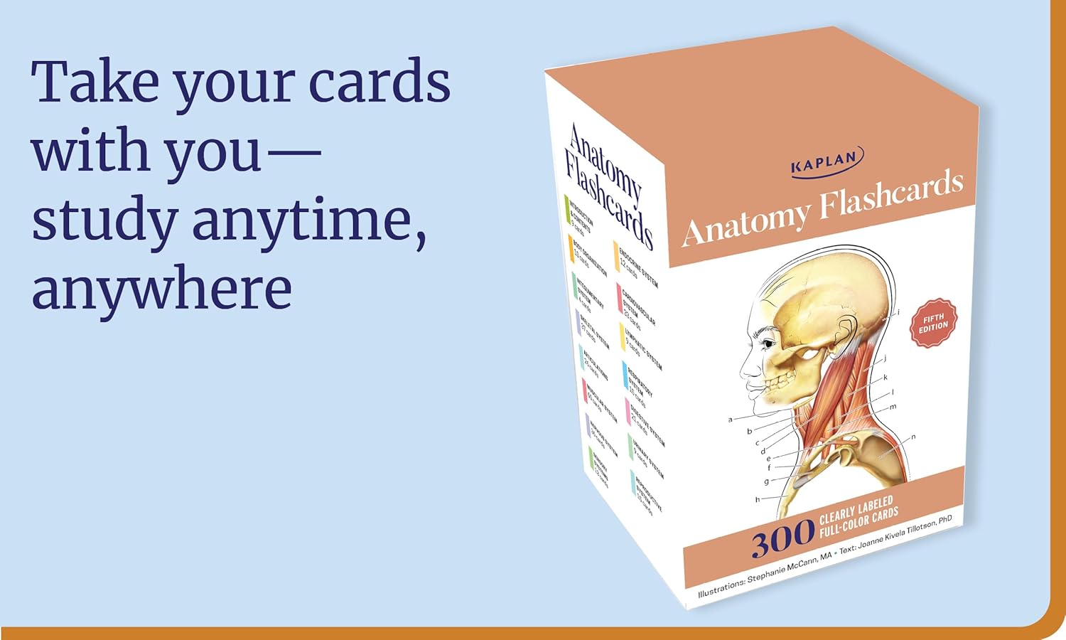 Anatomy Flashcards: 300 Flashcards with Anatomically Precise Drawings and Exhaustive Descriptions