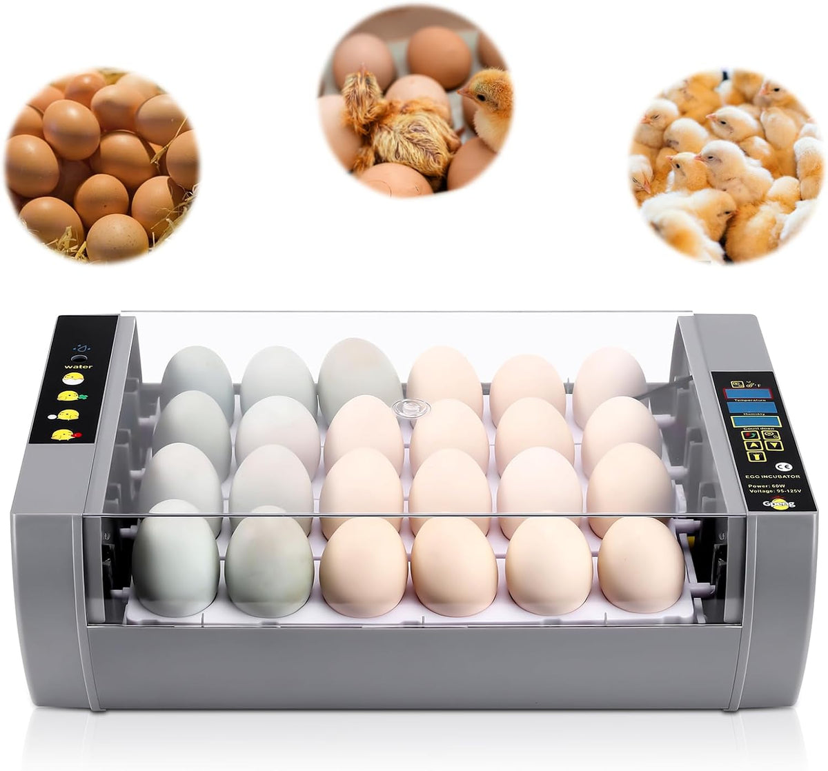 Egg Incubator, 24 Eggs Incubator with Digital Display, Auto Egg-Turning, Auto Temperature Control