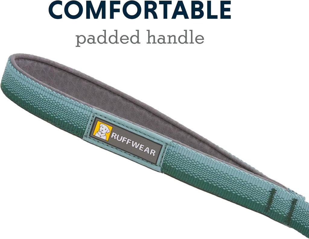 Front Range Dog Leash, 5 ft Lead with Padded Handle for Everyday Walking, River Rock Green
