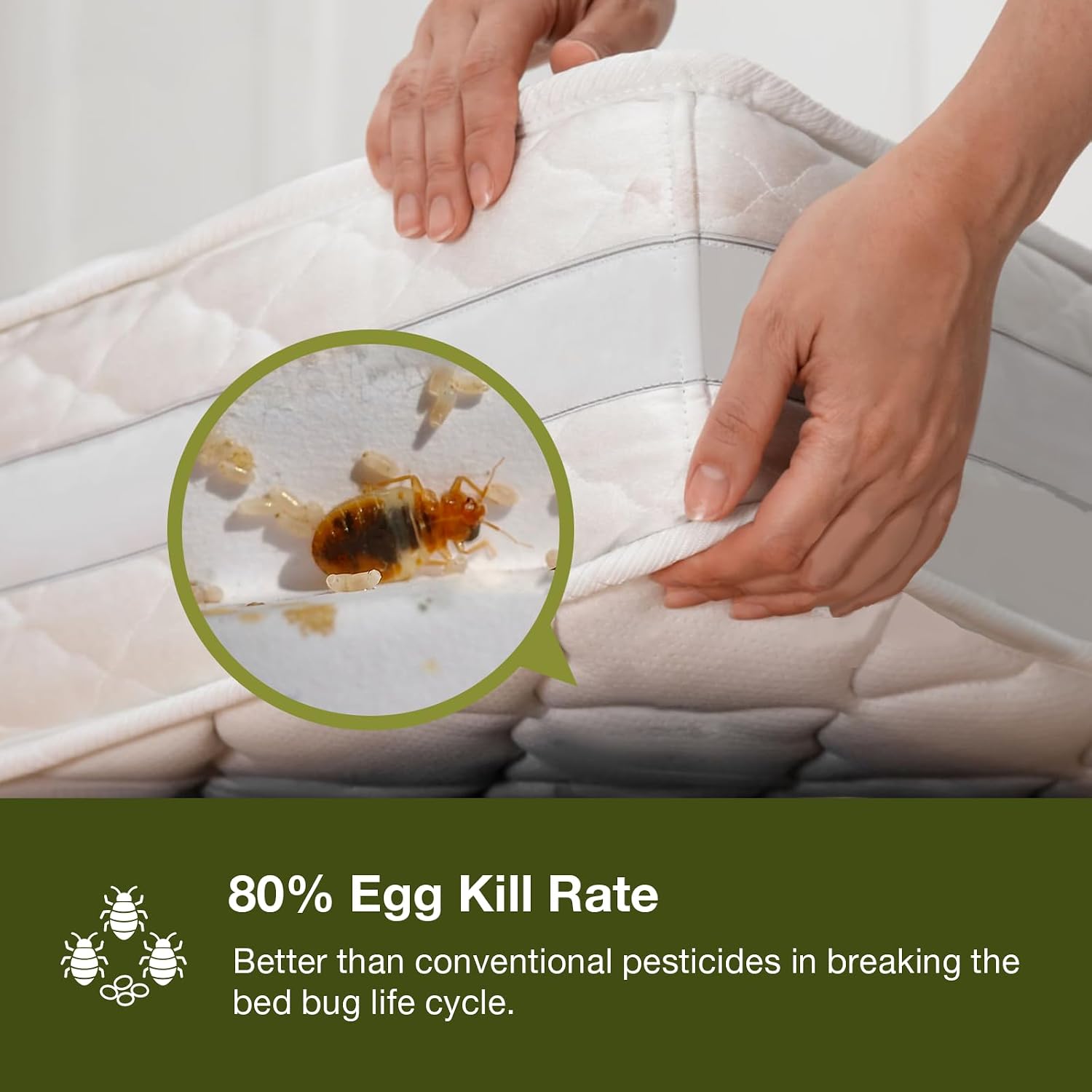 Bed Bug Killer 16 oz EcoVenger by EcoRaider, 100% Kill Efficacy, Bedbugs & Mites, Kills Eggs & The Resistant, Lasting