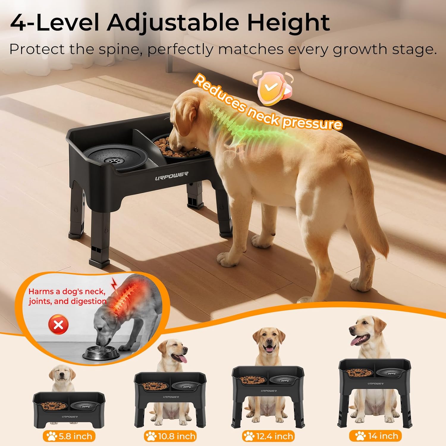 Mess Proof Elevated Dog Bowls 4 Height Adjustable Raised Stand with No Spill Water Bowl and Slow Feeder Dog Bowls