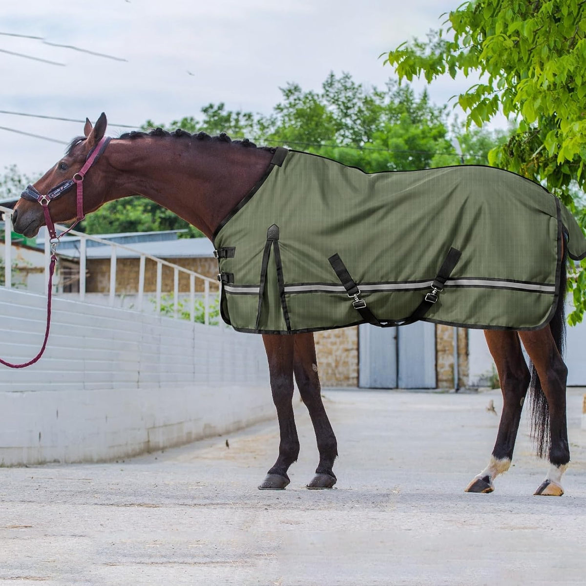 Horse Turnout Blanket, Waterproof Rain Sheet, 600D Oxford