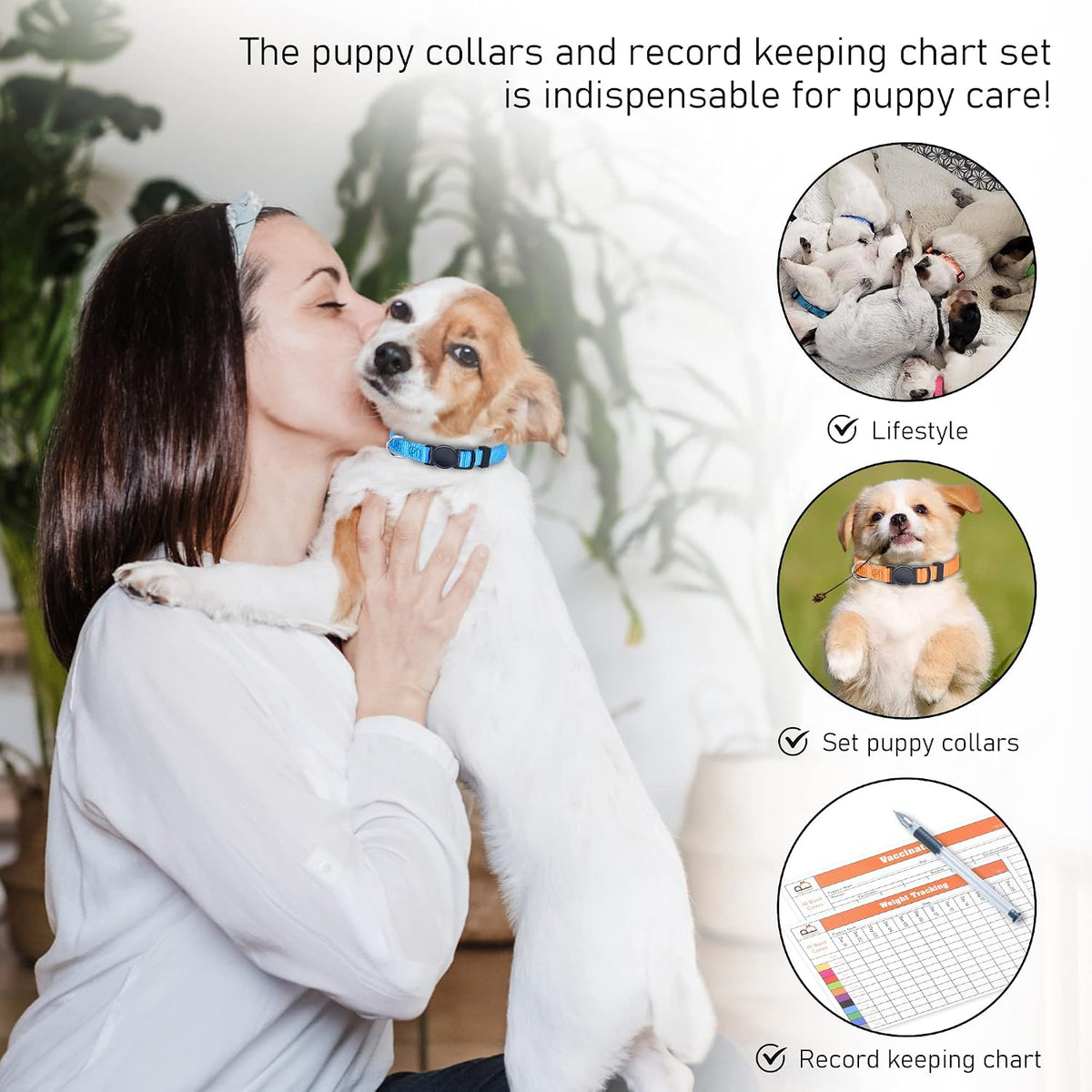 Soft Nylon Puppy and Pup Collars, Adjustable Breakaway Litter Collars, Plain Whelping & ID with Charts - Assorted