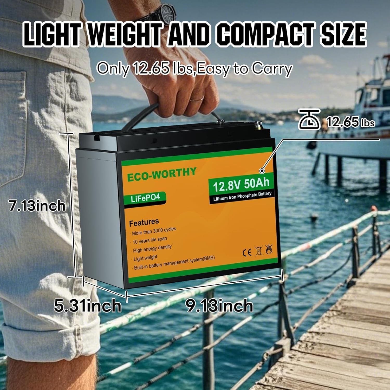 12V Portable Well Pump Kit with 50AH Lithium Battery and 10A Charger – Submersible DC Water Pump for Deep Well