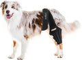 Dog Knee Brace for Back Leg,Cruciate Ligament Care Knee Brace for Dogs Rear Leg, Extral Support ACL Brace,Reduce