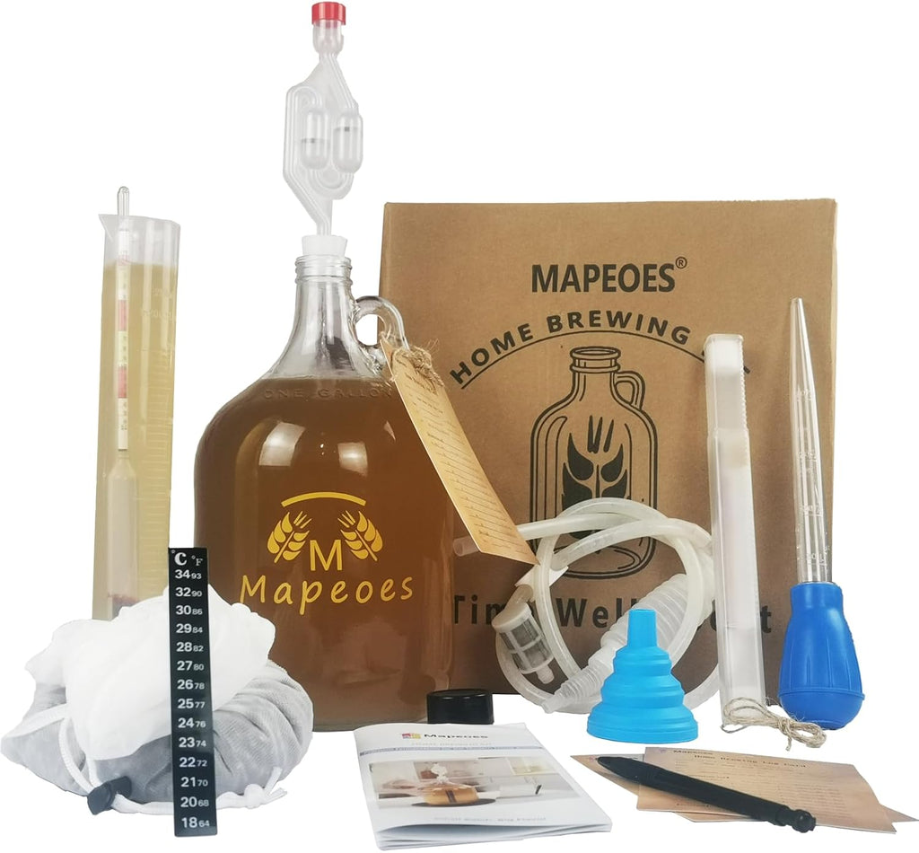 Complete Home Brewing Kit for Mead Wine Beer Cider Starter Set | 1 gal Glass Carboy Fermenter with Brew Bag