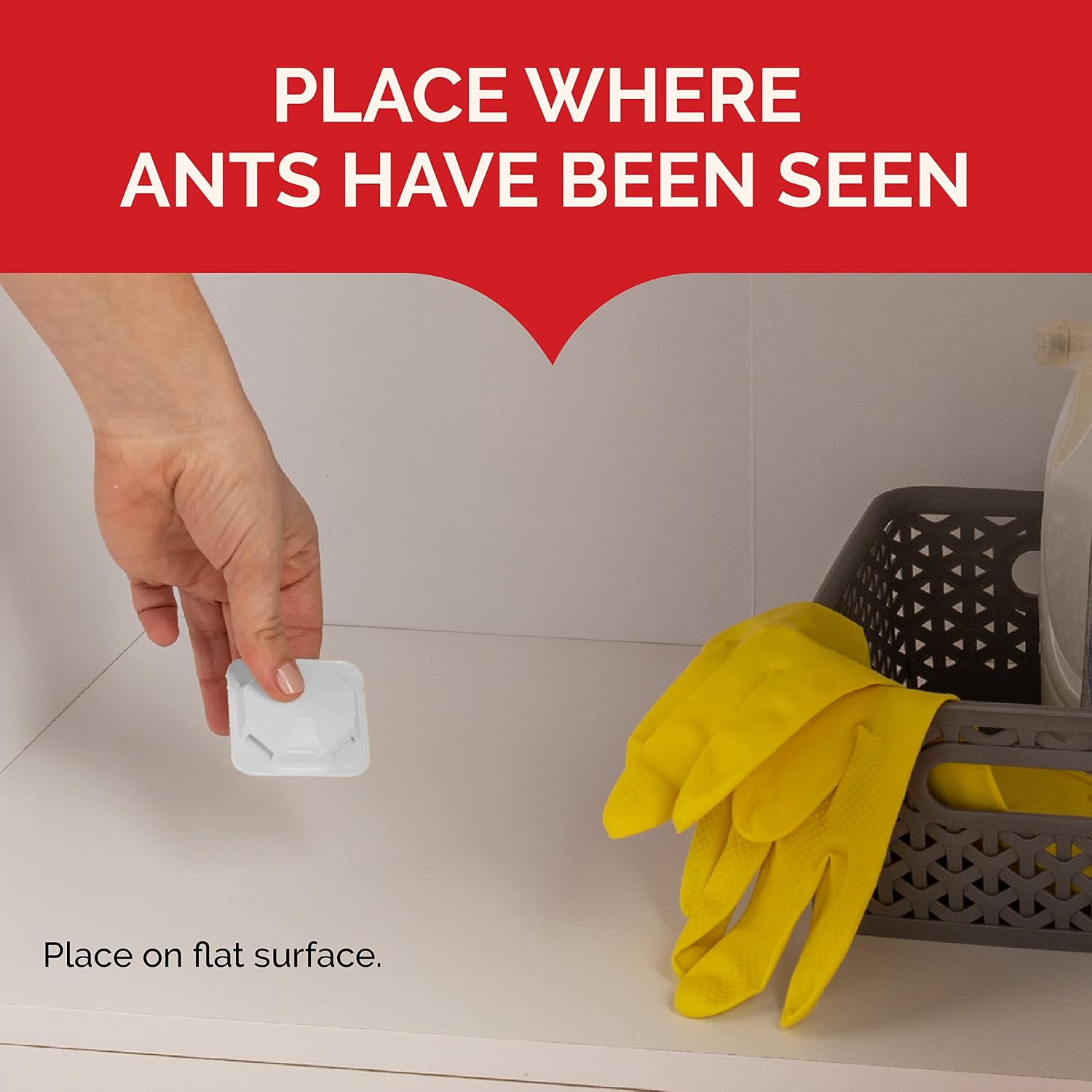 MaxAttrax Ant Bait 8 Count, Child-Resistant Bait Stations | Starts Killing In Hours; For Indoor & Outdoor Use, Works