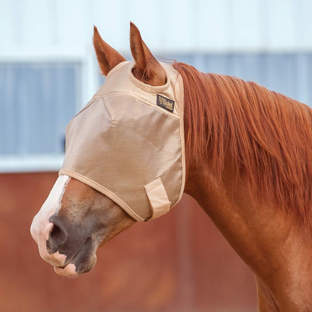 Economy Standard Horse Fly MASK, Gold, Horse