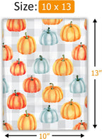 10x13 (100) Fall Pumpkin Designer Poly Mailers Waterproof Self Sealing Tear Resistant Polymailers Shipping Envelopes