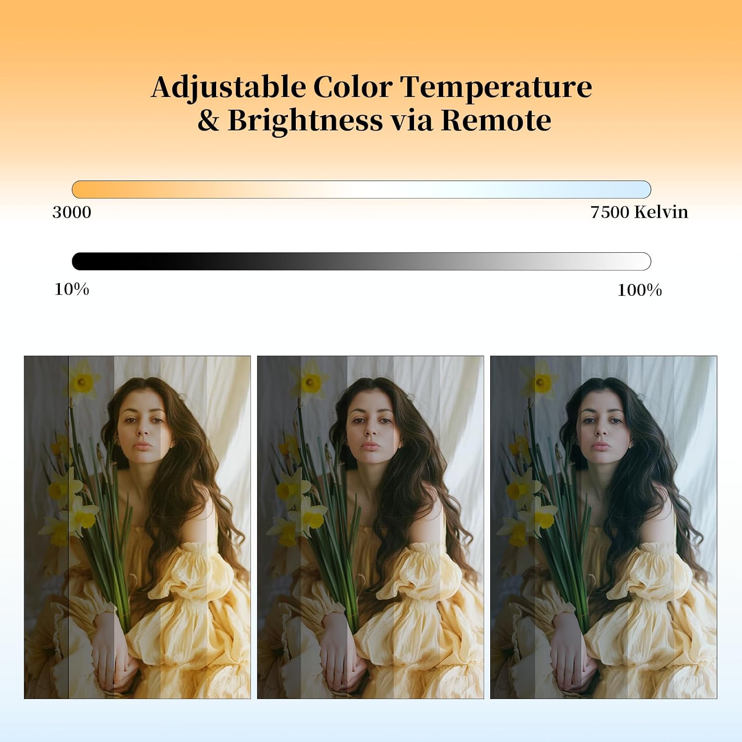 16" Softbox Lighting Kit, 2-Pack with Remote | 95W LED Bulbs, Remote Control, CRI97 Color Accuracy, Soft Diffused