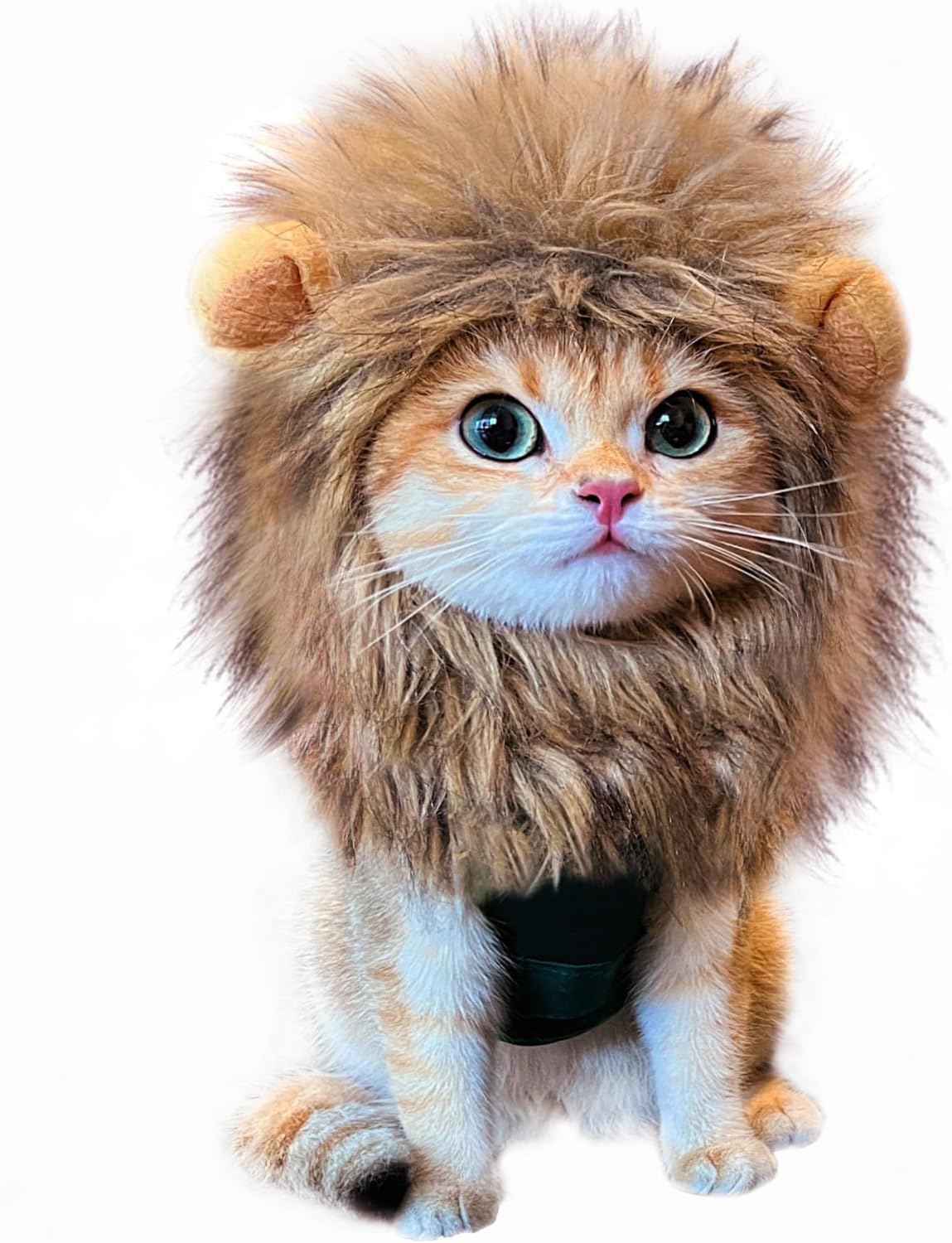 Lion Mane Wig for Cat Costume Pet Adjustable Washable Comfortable Fancy Lion Hair Cat Clothes Dress for Halloween