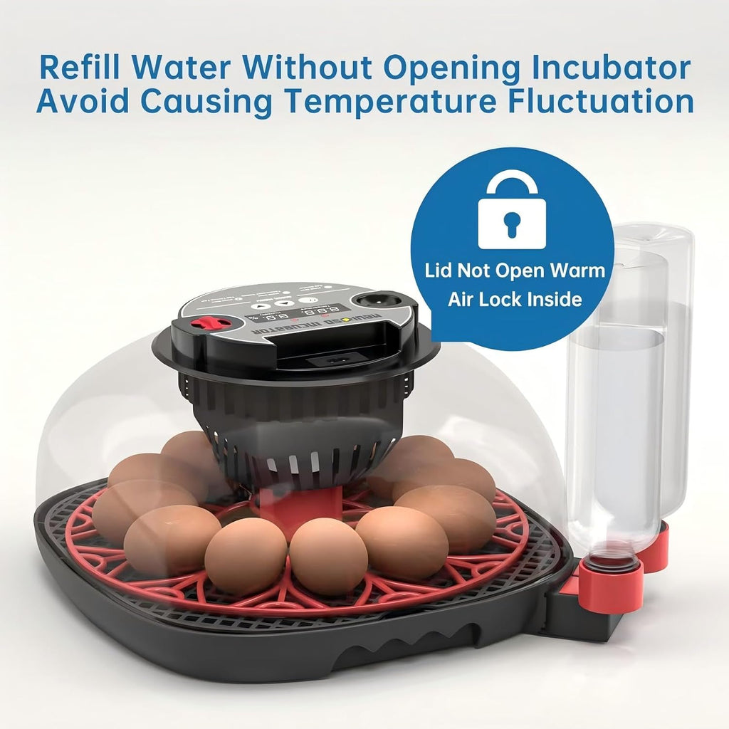 12-24 Egg Incubator incubators for Hatching Eggs
