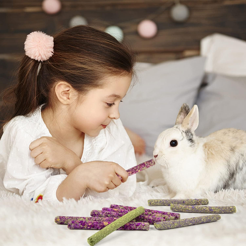 Timothy Hay Sticks - 44Pcs Natural Chews for Teeth - Handmade Rabbit & Guinea Pig Toys - Chinchilla, Rat, Hamster