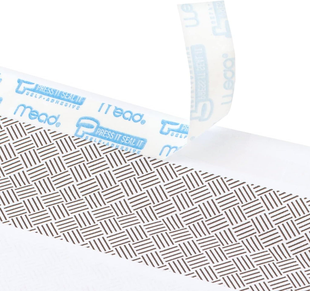 #10 Envelopes, Letter Size, 4-1/8" x 9-1/2", Security Printed Lining for Privacy, Press-It Seal-It Self Adhesive