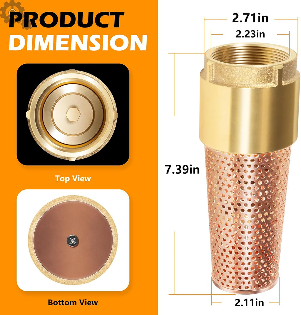 2 Inch Foot Valve for Irrigation Pump, One-Way With ZEBRA MUSSEL Strainer