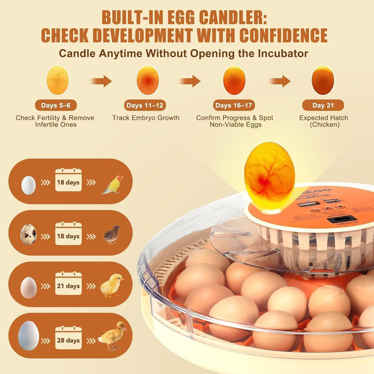 Serie II - 30 Egg Incubator for Experienced Hands-On Hatchers, Auto Egg Turn, Manual Humidity Control (Water Fill)