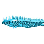 Splash Hog Urinal Screen | Clean Scent | Reduces Splash-Back | Long Lasting Fragrance | Deodorizes for up to 60 Days