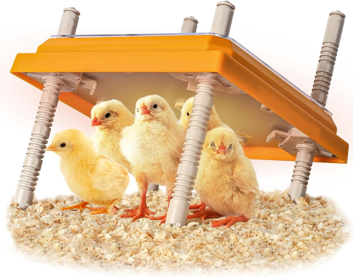 Brooder Heater for Chicks, 10" x 10" for 15 Chicks Heating Plate with Adjustable Height and Angle 15W Chicken Brooder