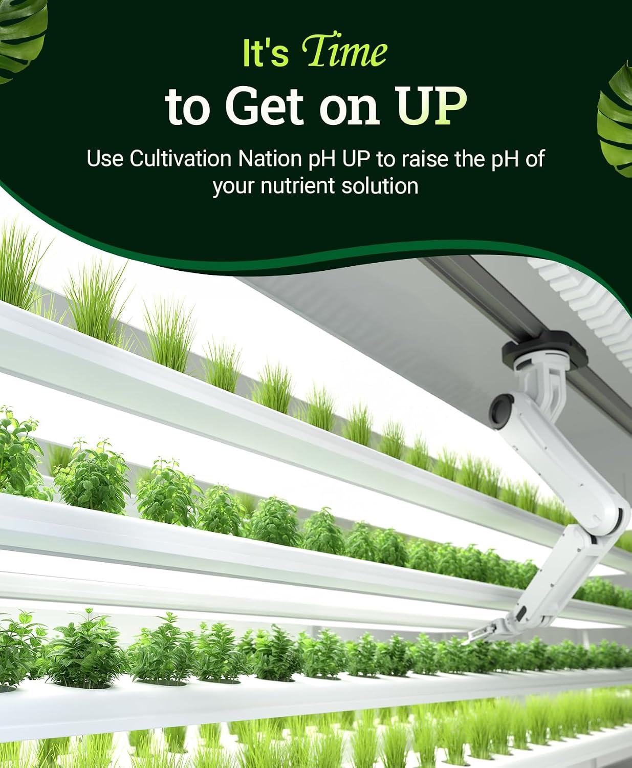 Cultivation Nation pH UP for Plants’ Nutrient Solutions - Formulated with Potassium Hydroxide for Adjustment - Ideal