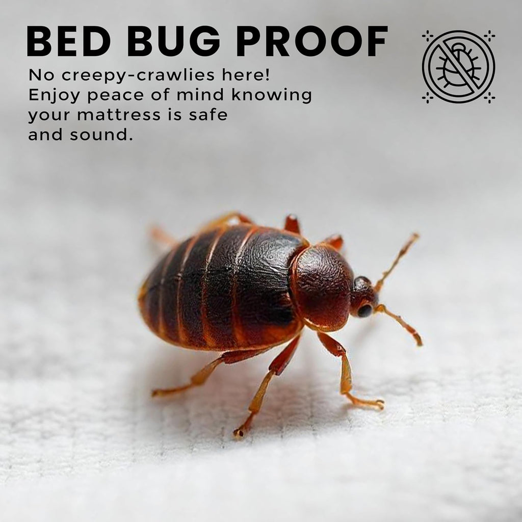 Premium Waterproof Zippered Mattress Protector Queen Size, 10" Depth | Utopia Bedding Bed Bug Mattress Cover, 6-Sided