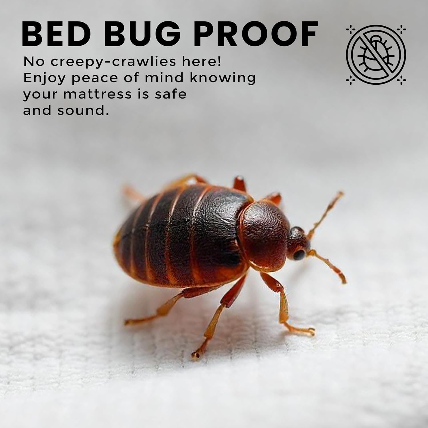 Premium Waterproof Zippered Mattress Protector Queen Size, 10" Depth | Utopia Bedding Bed Bug Mattress Cover, 6-Sided