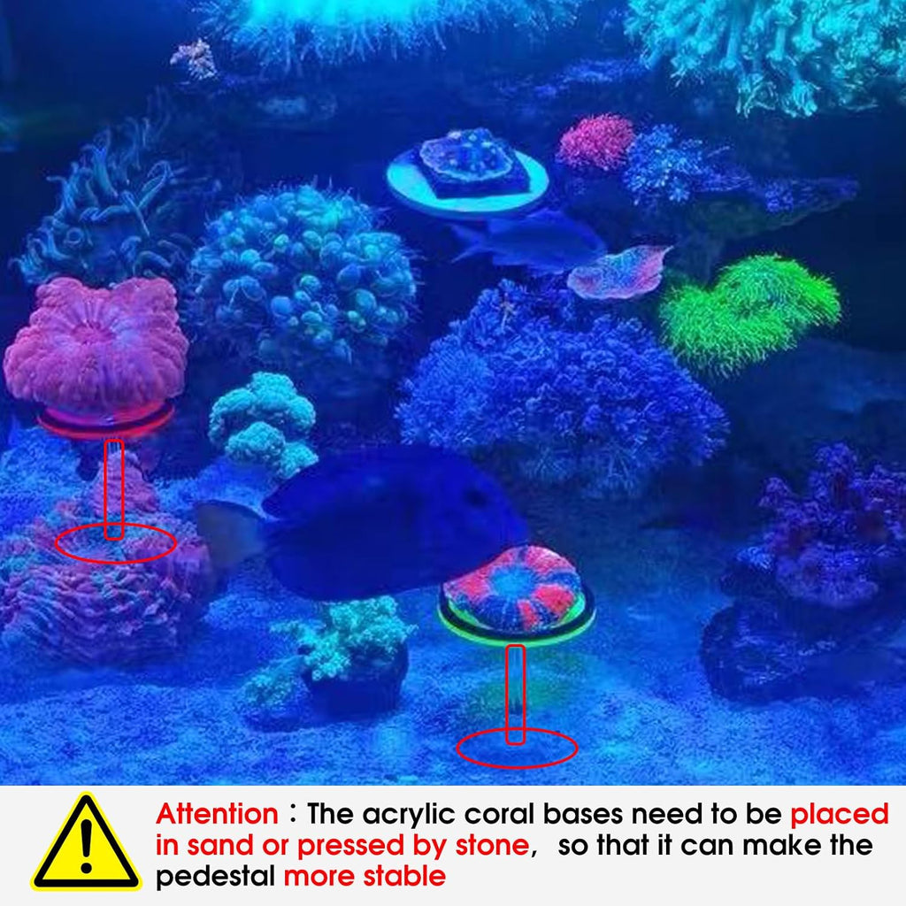 coral frag holer,Ring, set of six pillars with six round coral bases with legs, YGSHJ-XY6Z-1P