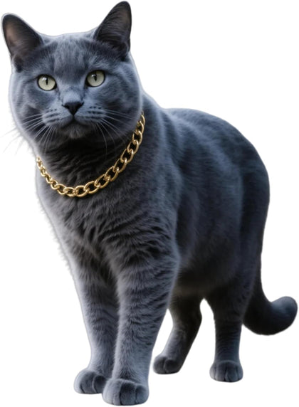 Gold Cat Chain Collar,Adjustable Cuban Link Necklace(Gold, S)