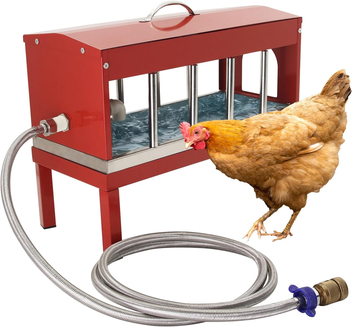 Automatic Chicken Waterer, Multi-Side Drinking Holes and Detachable Legs