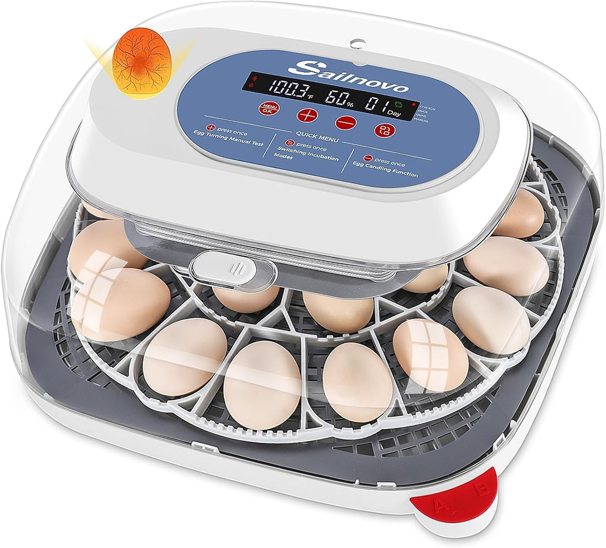 24 Egg Incubators for Hatching Eggs, 360° View with 4 Modes, Blue