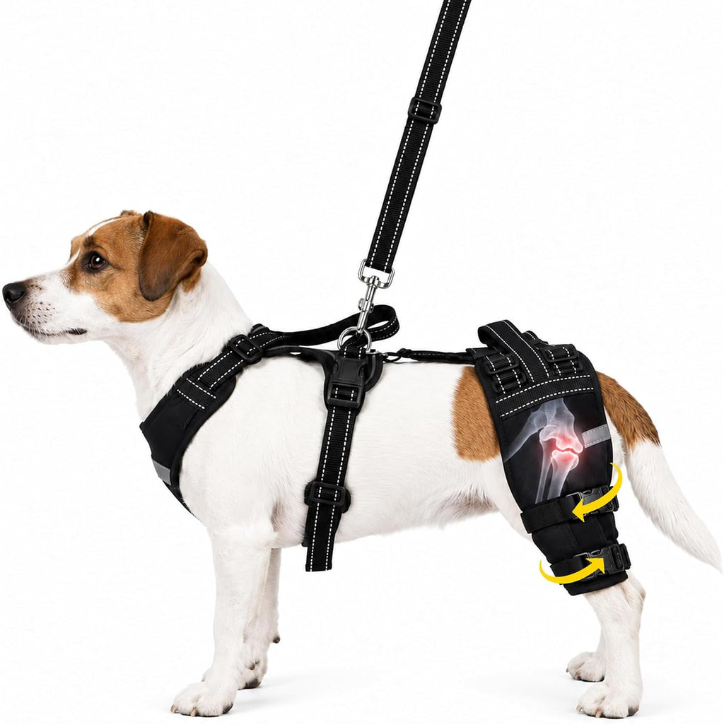 Dog Hip Support Brace-Adjustable Dog Leg Brace for Back Leg with Lift Strap for Hip Dysplasia Arthritis Pain Relief (M)