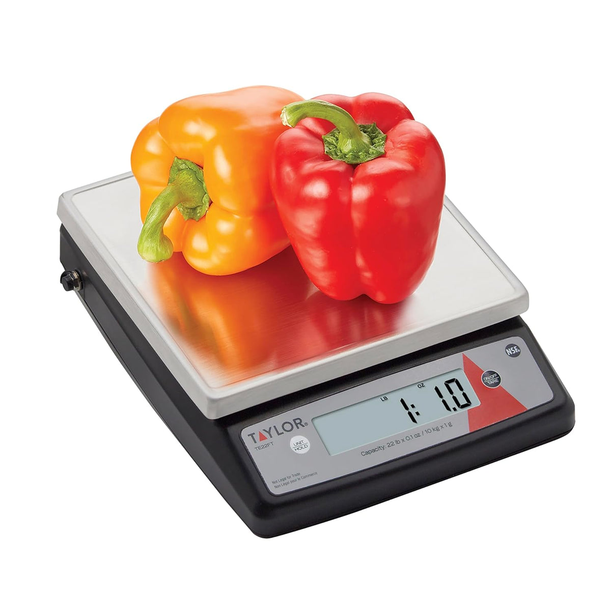 Digital Kitchen Scale 22 lb Max Capacity