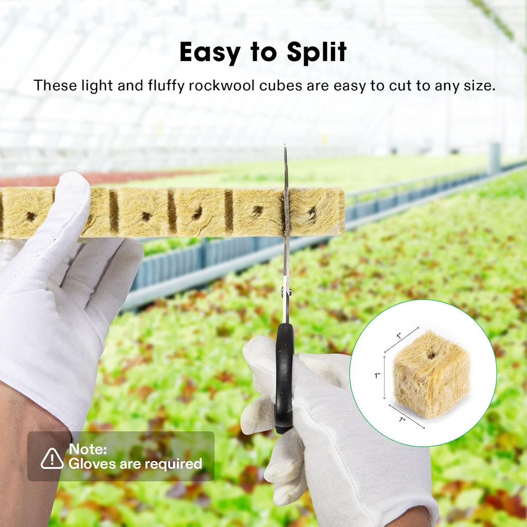 1" Rockwool Cubes, 100 Plugs Grow Cubes