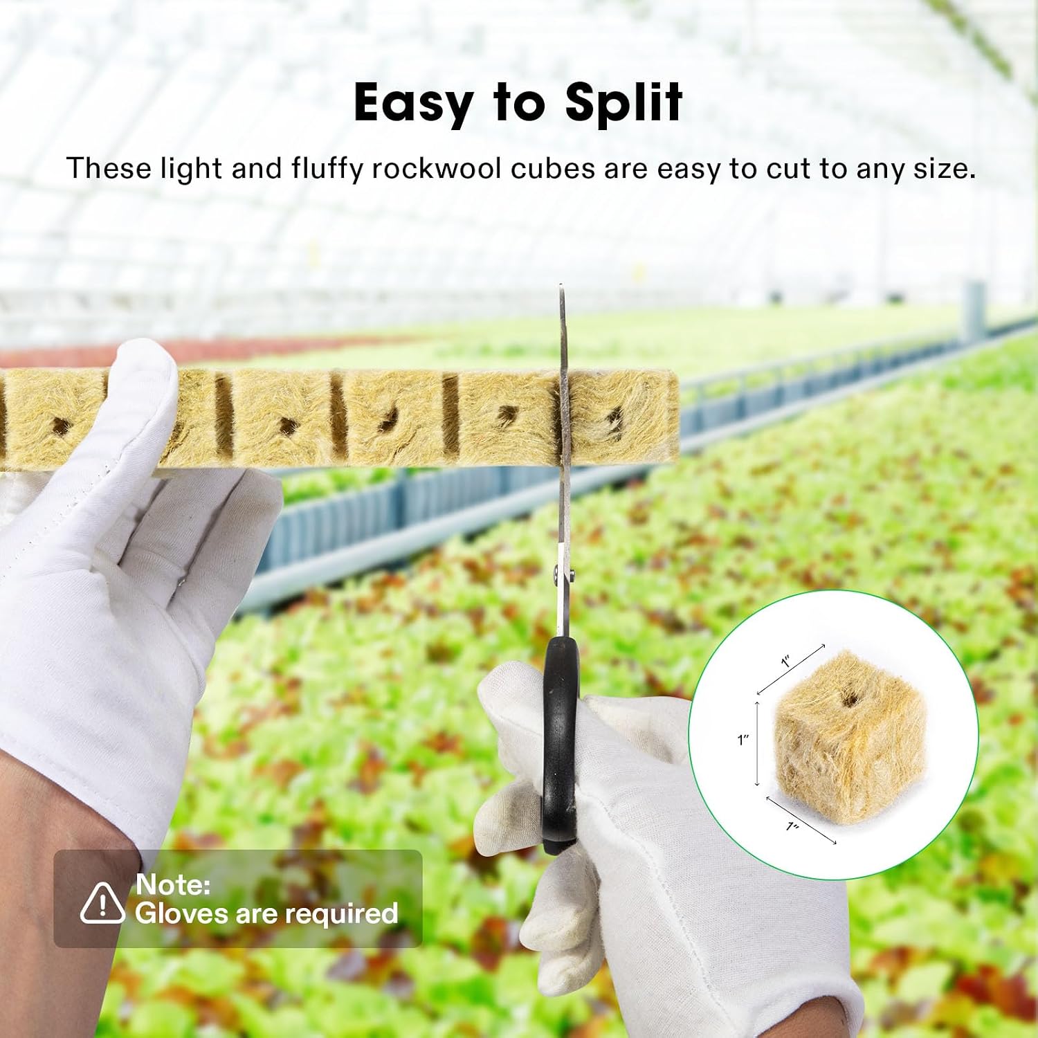 1" Rockwool Cubes, 100 Plugs Grow Cubes