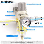 TAILONZ 1/4"NPT AW2000-02 Filter Regulator