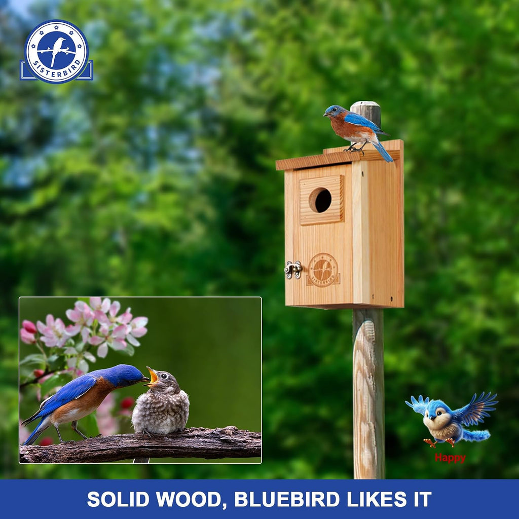 2 Pack Blue Bird Houses for Outdoors, Warming Gifts Bird House