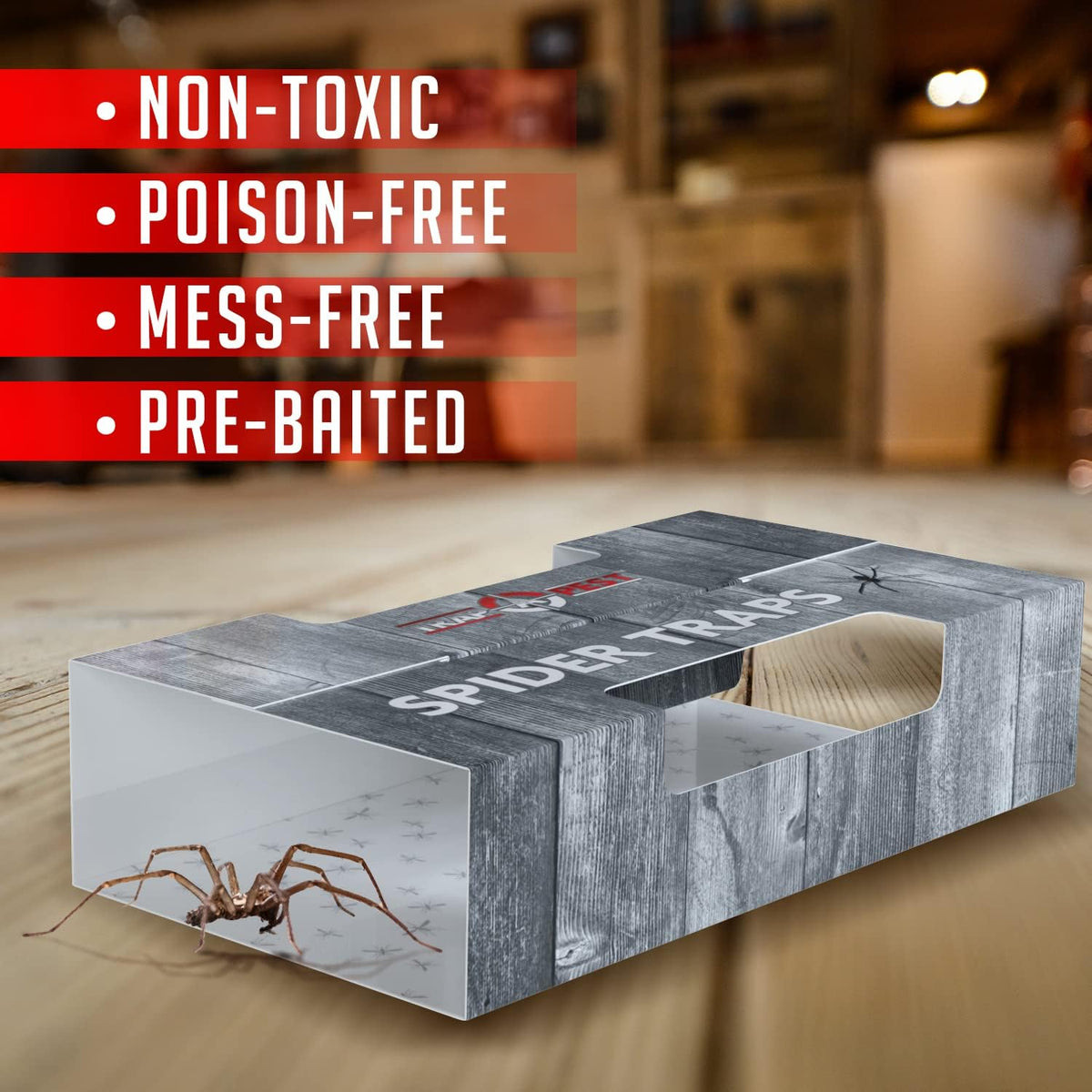 Trap a Pest Indoor Sticky Spider Traps - Glue Traps - 16 Pack