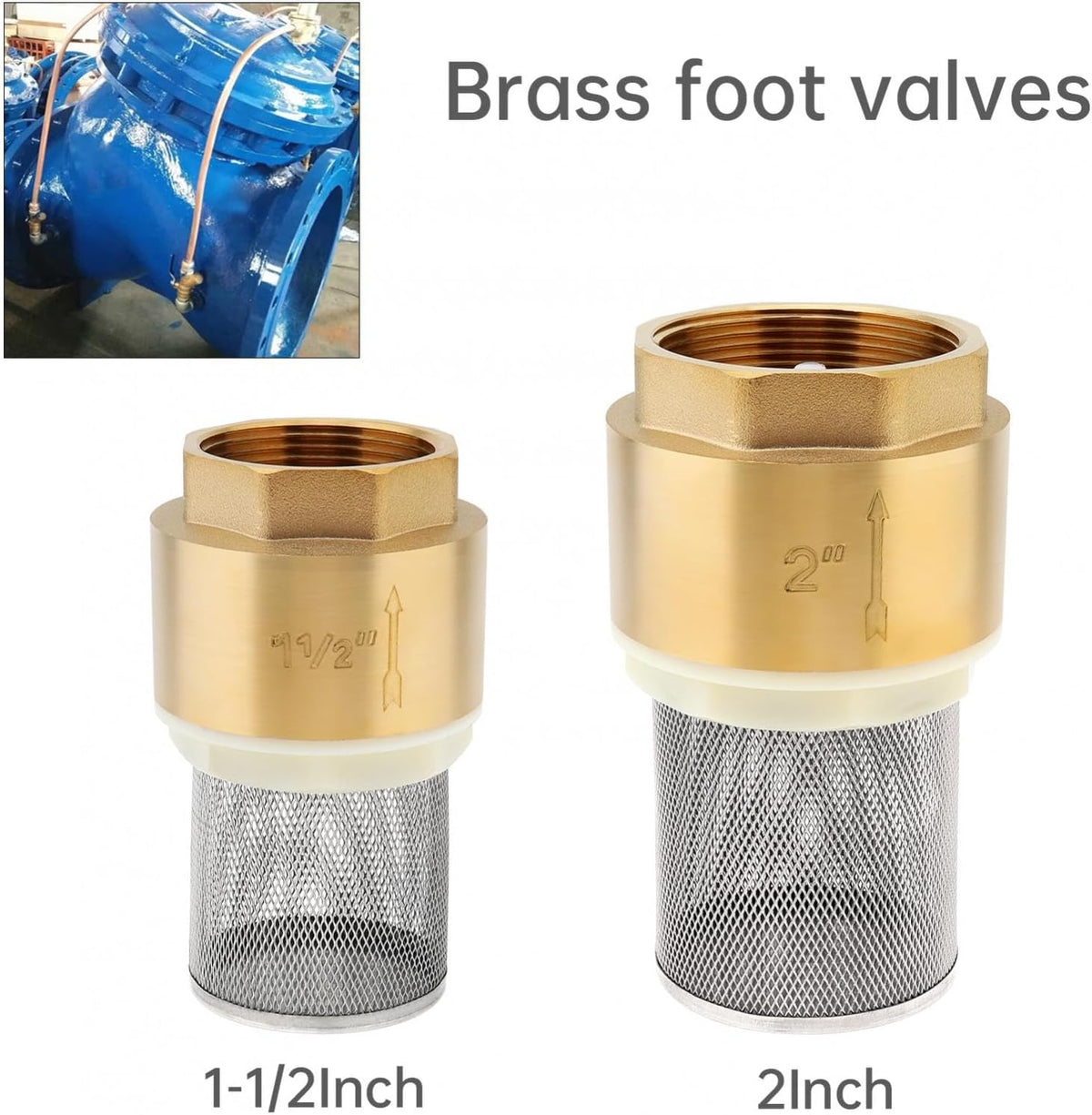 2 Inch Foot Valve with Filter Water Pump Bottom Brass Check Valve
