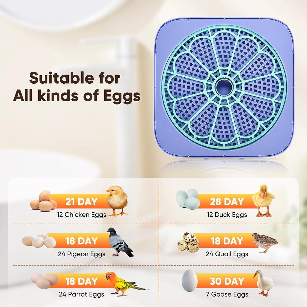 Incubators for Hatching Eggs, Smart Egg Incubator with Humidity & Temp Control and Auto Turner, 360° View Incubadora