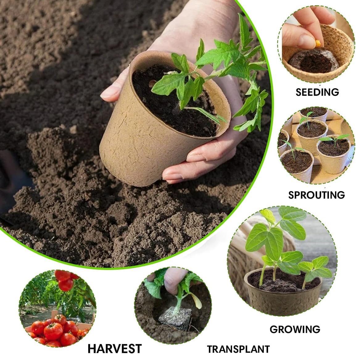 Seedling Starter Kit Germination Grow Cups and Soil (10 Pack) Biodegradable Peat Pots, Coco Coir Soil Discs, Plant