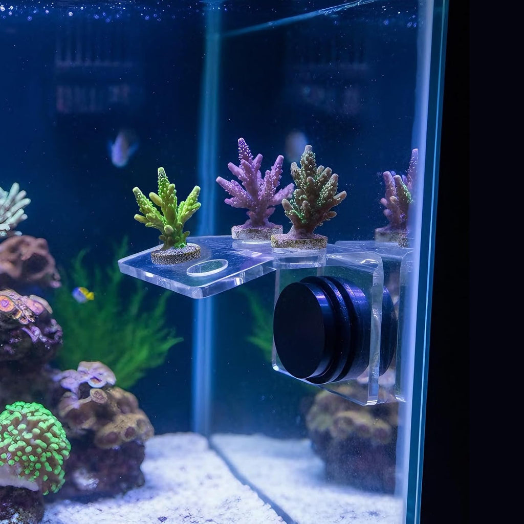 Magnetic Coral Frag Holder, 4 Holes Aquarium Coral Frag Rack