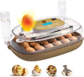 24-Egg Incubator: Auto Egg Turner, Precise Temp Control, Auto Water Refill, Candler | 360° Full Clear View | Fits
