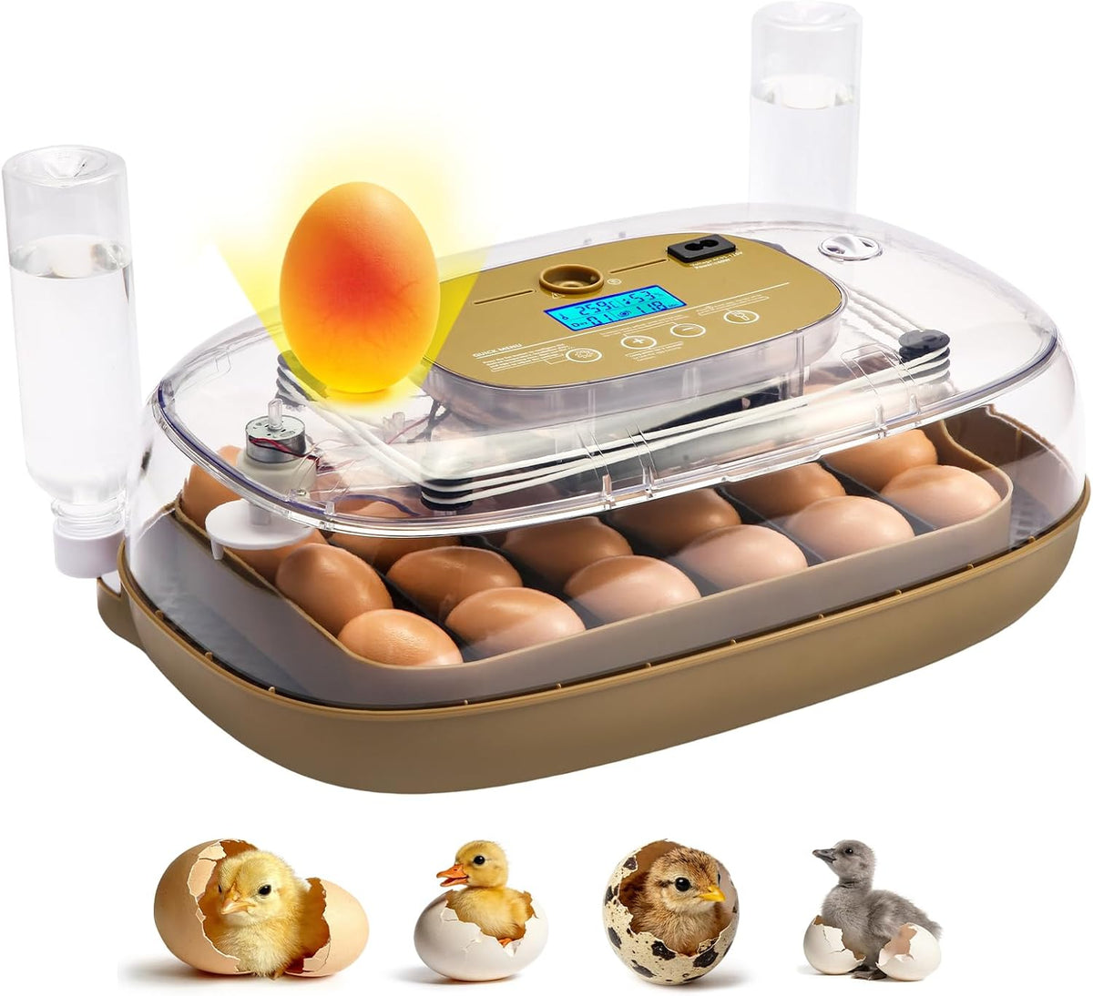 24-Egg Incubator: Auto Egg Turner, Precise Temp Control, Auto Water Refill, Candler | 360° Full Clear View | Fits