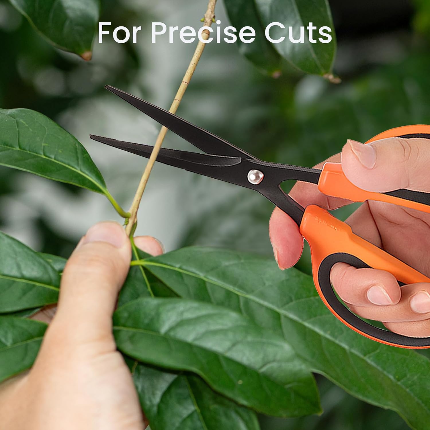 3 Packs Trimming Scissors Teflon Coated Non Stick Blades Pruning Shears Gardening Hand Pruning Snips with Straight