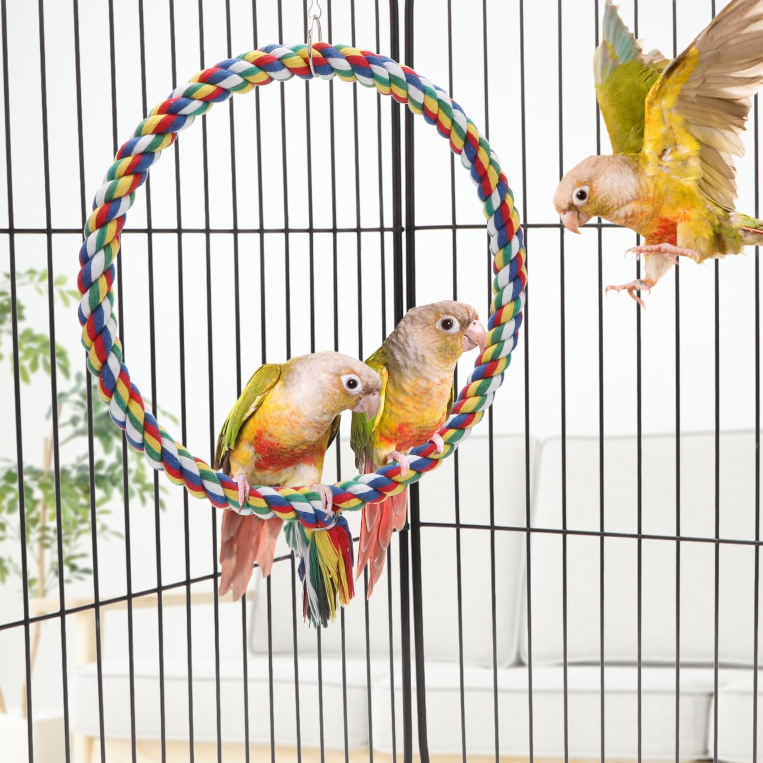 Bird Swing Colorful Rope Perch Climbing Toy for Parrots (M 10.4inch) | Soft cotton rope, colorful, supports balance